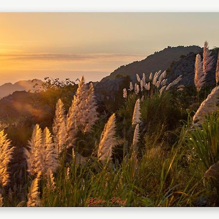 Cat Ba Island Garden Homestay - Papillon Eksteriør billede