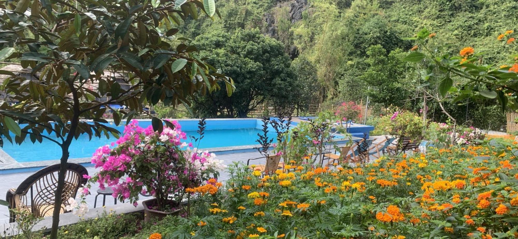 Cat Ba Island Garden Homestay - Papillon Eksteriør billede