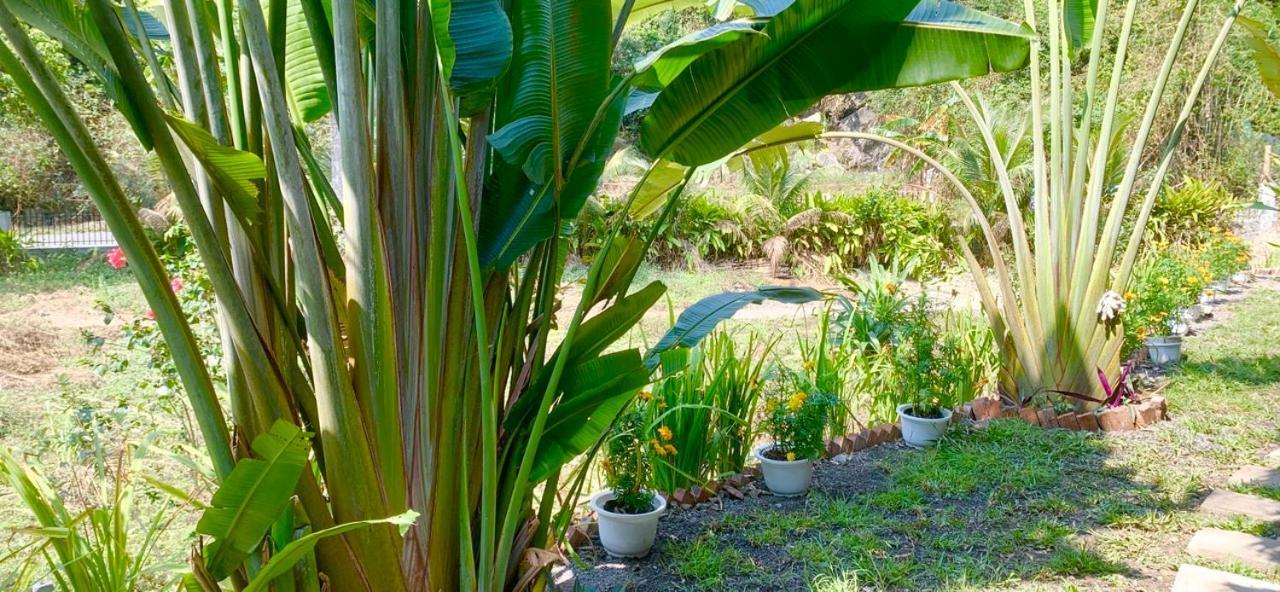 Cat Ba Island Garden Homestay - Papillon Eksteriør billede
