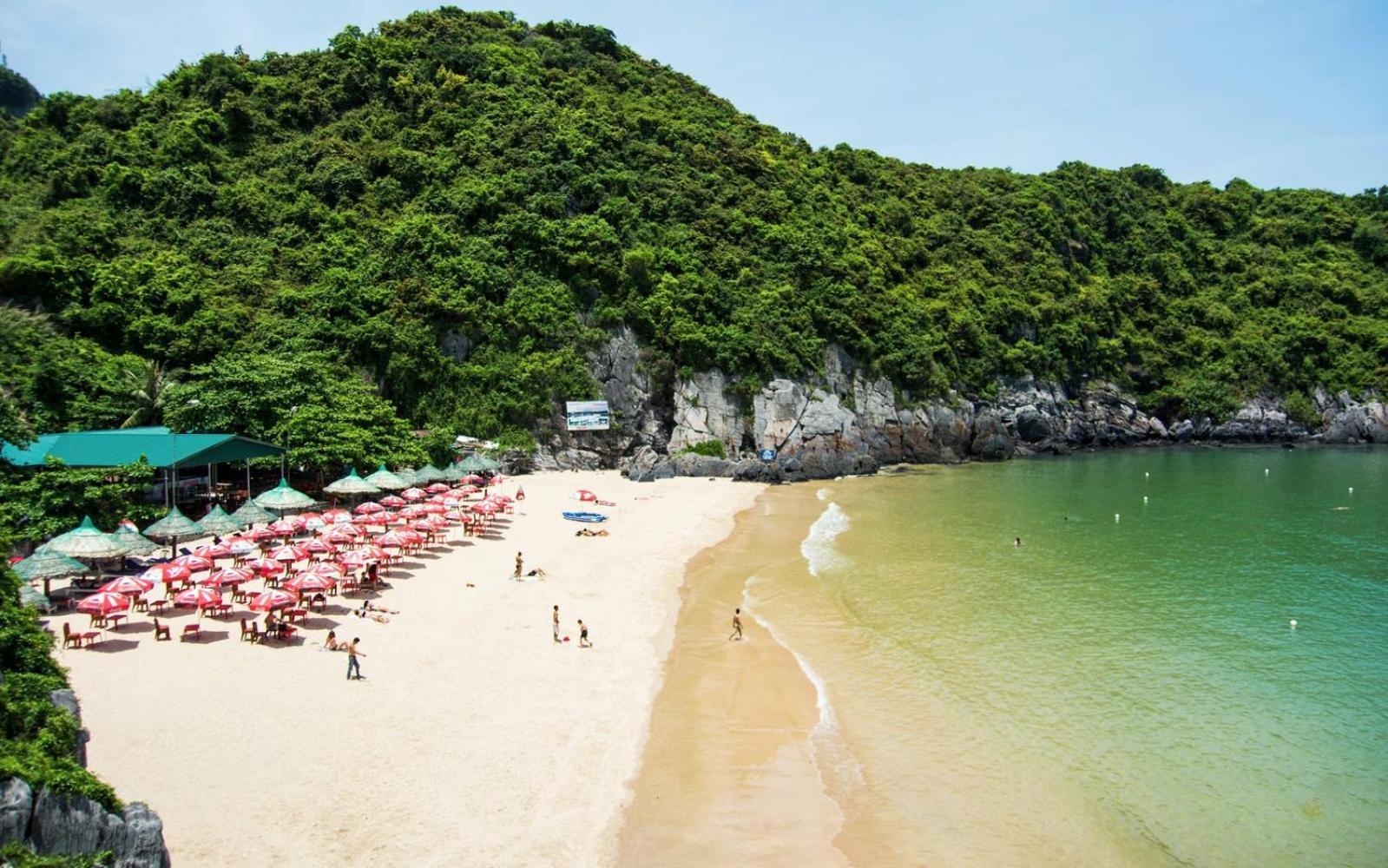 Cat Ba Island Garden Homestay - Papillon Eksteriør billede