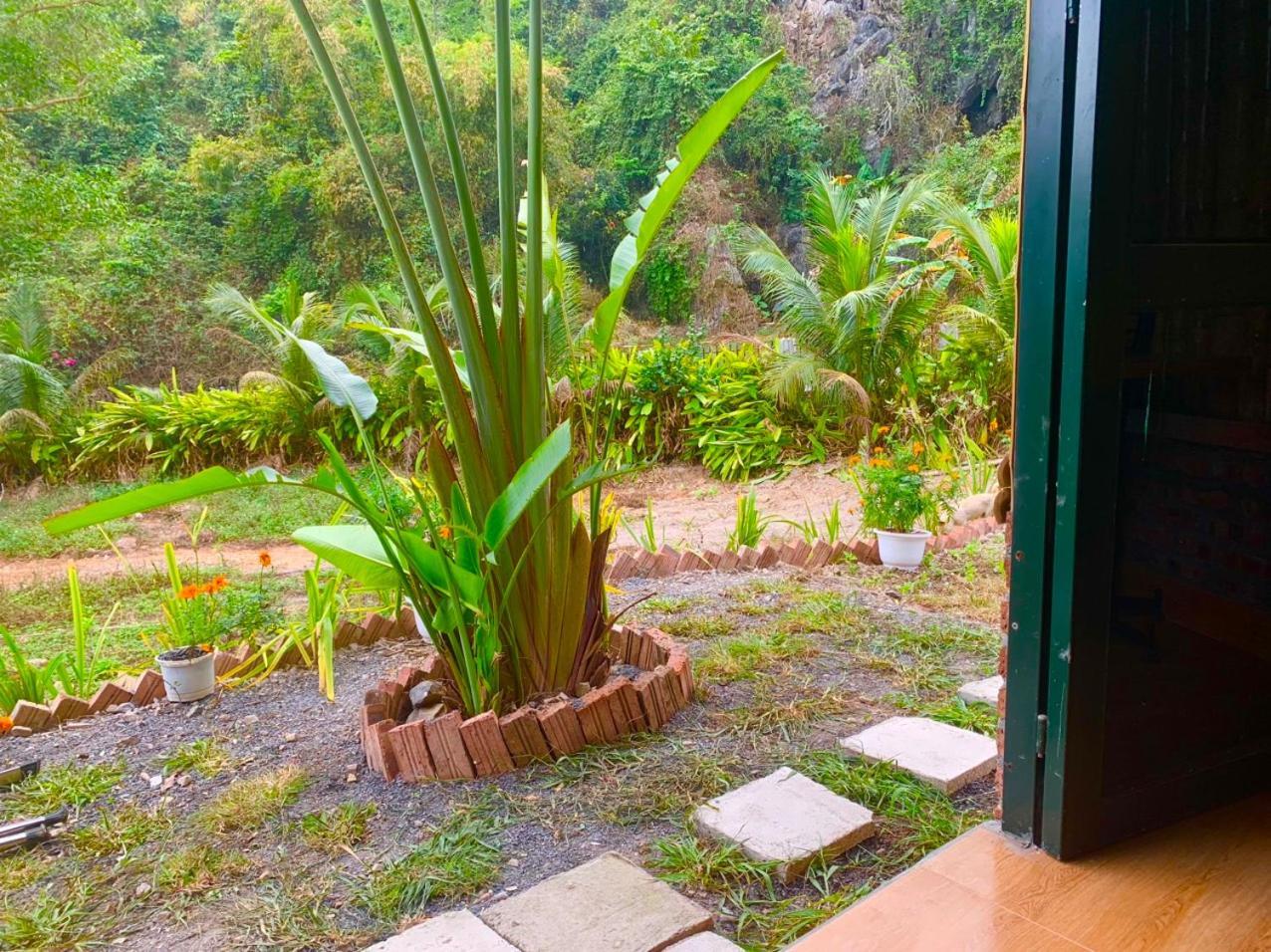Cat Ba Island Garden Homestay - Papillon Eksteriør billede