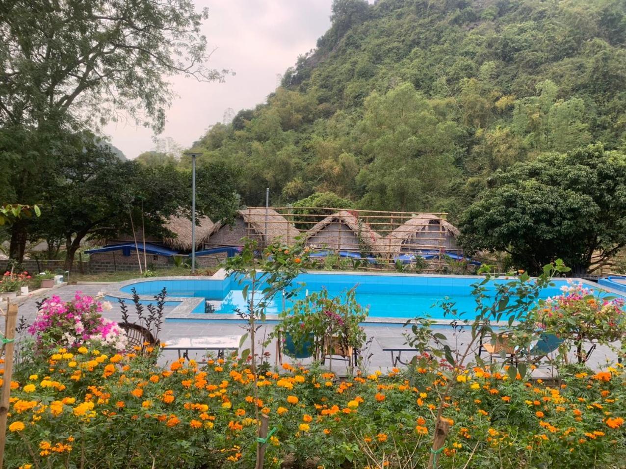 Cat Ba Island Garden Homestay - Papillon Eksteriør billede